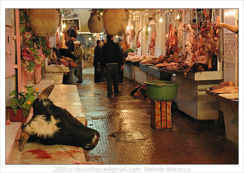 africa animal animals geotagged dead cow mar market north meat butcher morocco maroc afrika marokko viscera meknèstafilalet syn01 geo:lat=3389265500 geo:lon=556652300 deuxchasse