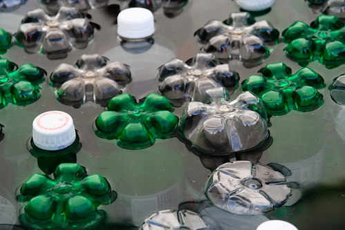 water landscape bottles soda lilypads
