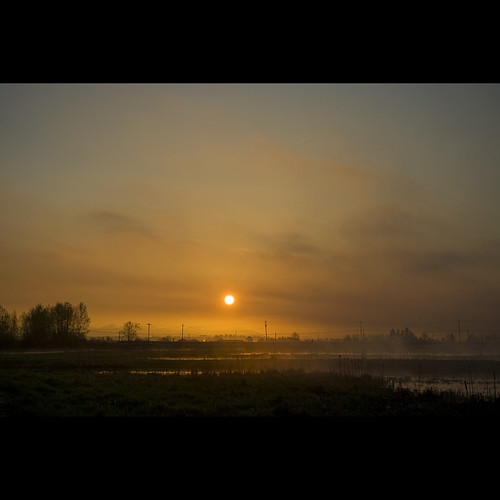 morning mist sunrise landscape dawn spring britishcolumbia surrey april morningmist serpentinefen kinggeorgehighway canonef1740mmf40lusm serpentinefennaturereserve kvdl surreylandscape