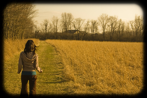 house tree field grass woods warm path walk reserve pasture prairie vignette cemex flickrdiamond