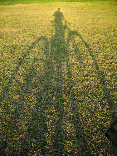 sunset shadow grass bike bicycle wheels mountainbike