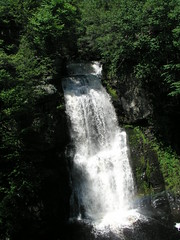 Bushkill Falls (P1010189)