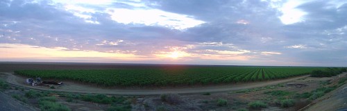 autostitch panorama clouds sunrise farm orchard fresnocounty
