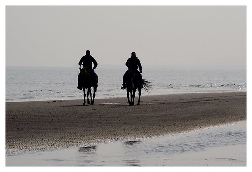 mare silhouettes persone inverno riflessi cavalli spiaggia gabbiani chioggia sottomarina