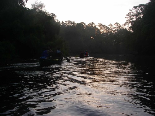 water canoeing edisto