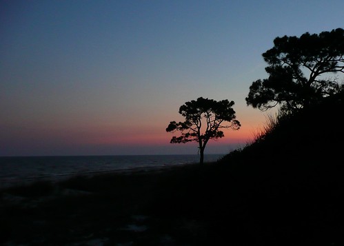 sunset vacation tree fl 2009 alligatorpointflorida