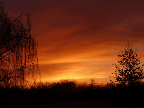orange sunrise backyard glow tennessee mywinners