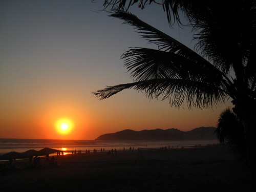 ocean sunset orange sun sol beach atardecer mar sand playa arena naranja palmera anaranjado