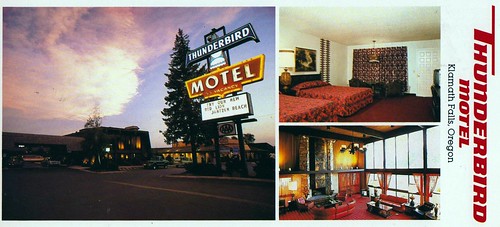 oregon vintage postcard motel thunderbird roomview aaa klamathfalls lobbyview triview longcard