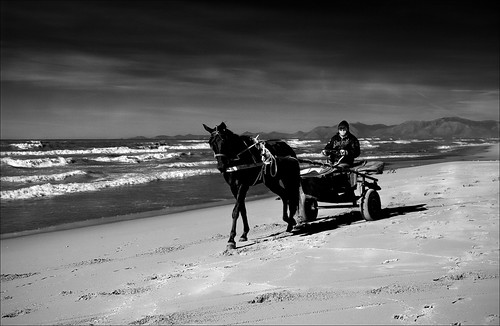 sea bw horse beach sport canon mare wind bn napoli cavallo spiaggia vento castelvolturno blackwhitephotos francescosaveriofienga