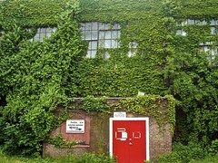 Ivy Factory