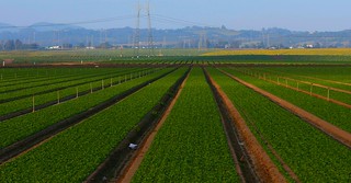 Photo:Monterey County agriculture By:Richard Masoner / Cyclelicious