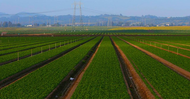 monterey county agriculture