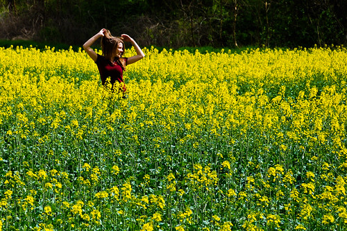 vacation france flower green nature yellow dance europe dijon farm mustard myfavorites bourgogne mustardfield ashleyhill
