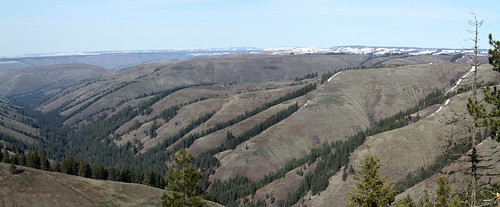 trees autostitch panorama mountain geotagged pass canyon vista desktopbg geo:lat=4557972100 geo:lon=11845237900