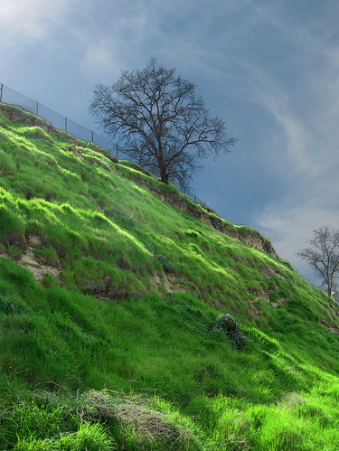 california park sunlight tree green grass bicycling us spring rocks unitedstates hill fresno biking 2009 hdr bluff