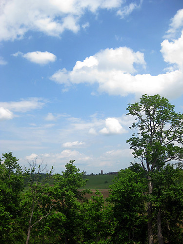 trees sky clouds view kentucky lawrenceburg foxcreek lawrenceburgky foxcreekky