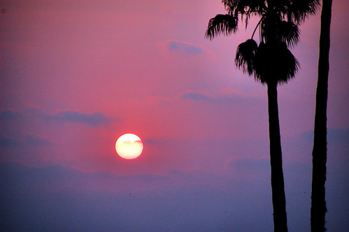 california sunset harbor photo palm oceanside channel