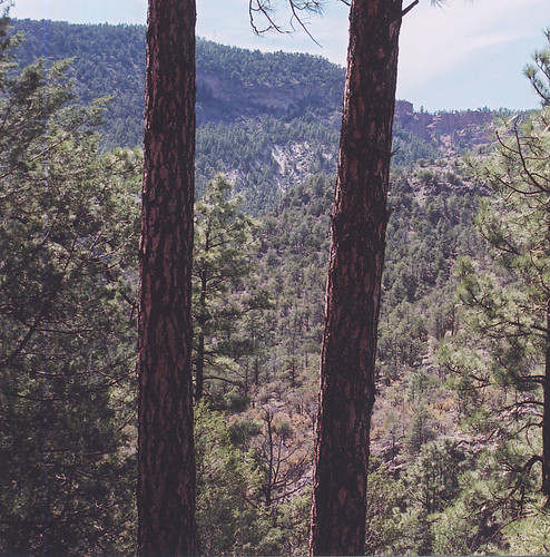arizona apachenationalforest