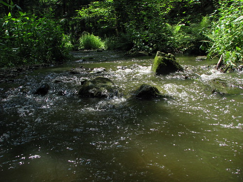 water creek rocks nihov