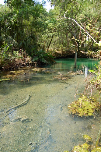 green water spring