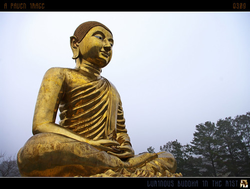 mist statue fog geotagged interestingness buddha australia explore serenity canberra luminous hdr buddhistcentre explored inexplore aug2 geo:lon=149147269 tomraven aravenimage q309 geo:lat=35339638