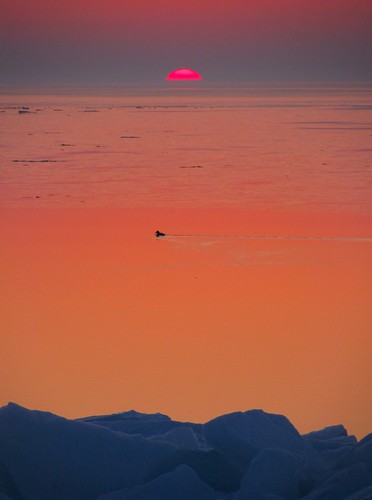 ice minnesota sunrise photo duck brightonbeach duluth lakesuperior