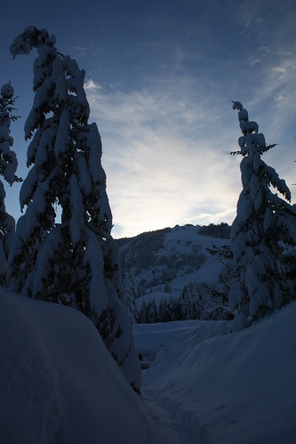 trees sunset mountain snow piancavallo