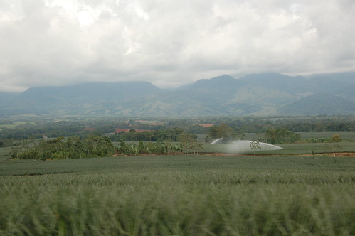 costarica irrigation centralamerica sugarcane