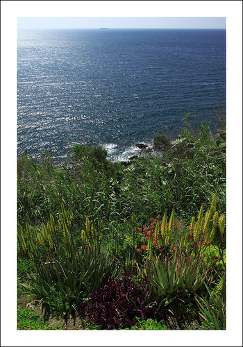 españa flores landscape spain paisaje andalucia granada salobrena salobreña costatropical atx165prodx tokinaaf1650mmf28