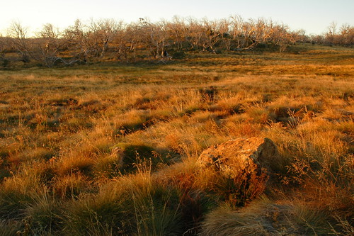 expedition geotagged australia hike nsw pathfinders