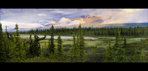 sunset panorama mountain nature alaska environment denali tundra midnightsun alaskarange natureycrap nikond300 eyemeetsworldcom eyemeetsworldphotography