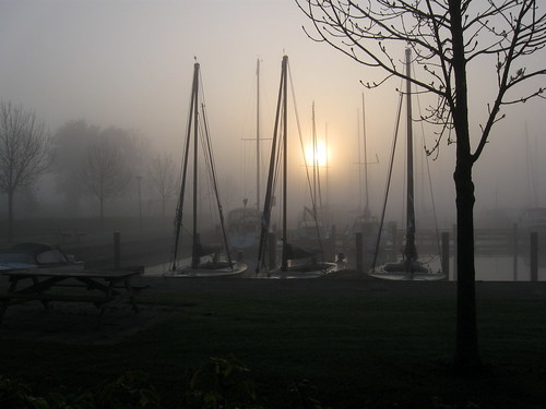 sun mist dutch fog sunrise foggy nederland thenetherlands friesland zonsopgang mistig fryslân woudsend wâldsein