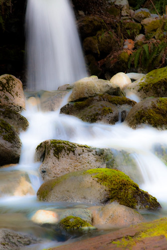 canada green fall nature water outdoors rocks stream exposure bc