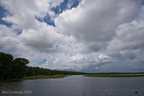 lake color beach florida canon20d gainesville pithlachocco pithlachoccolake