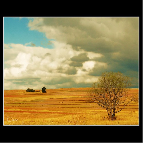 sky clouds landscape southafrica three cisco nelspruit sudafrica photographia “photographia” magicunicornverybest ☆thepowerofnow☆