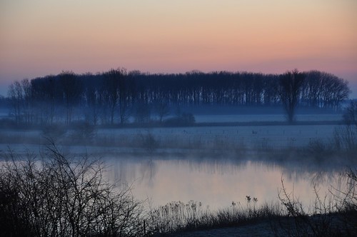 blue trees lake holland netherlands fog sunrise nikon bleu nikkor dslr morningsky gelderland d90 18200vr semopho
