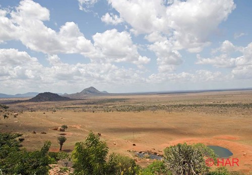 game landscape nikon kenya reserve safari tsavo d80 vosplusbellesphotos