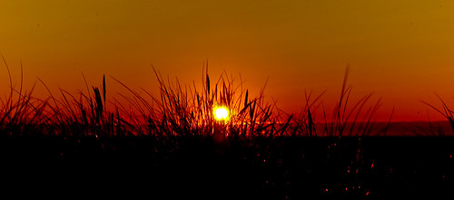 beach soleil sundown dune coucher plage orangeskies