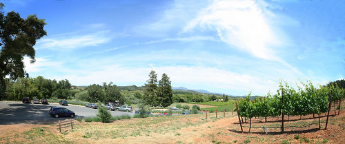 california autostitch panorama vineyard drycreek winery bellavineyard