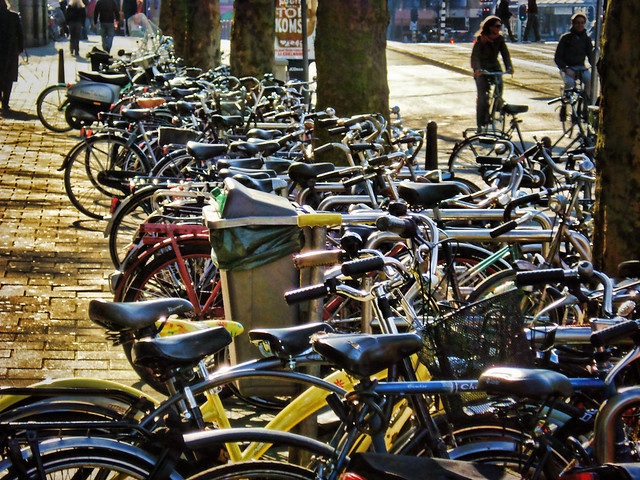 Bicycles - Amsterdam