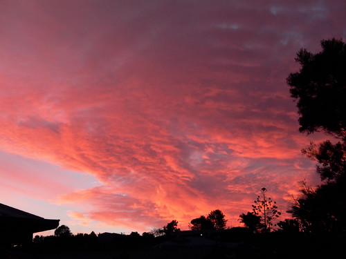 pink sunset weather clouds skies pastel salmon australia queensland storms maleny serendigity pss:opd=1235022232