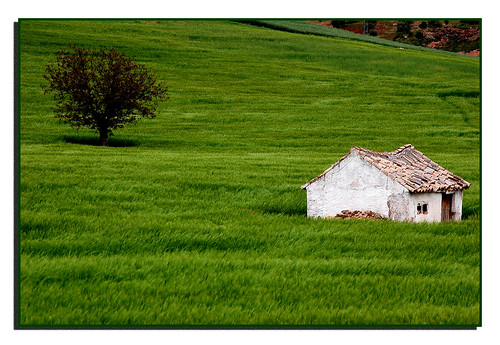 verde landscape arbol casa paisaje colina hierba baldo labuelo tff1 fotosporhaiti2010