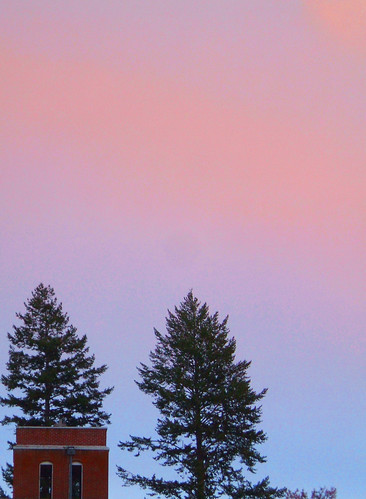 pink blue trees light sunset building tree brick church pinetree pine bells purple bell dusk lavender belltower ponderosa cobalt ponderosapine bellfry ponderosapinetreeponderosa