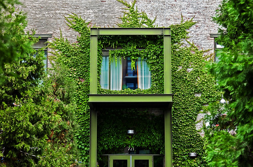 blue brick green texture colors wall architecture oregon canon portland downtown bright or ivy pearldistrict curtains ptown 70200mm ironbars isusm schmap dopplr:tagged=snaptrip eos5dmarkii dopplr:woeid=2475687 dopplr:trip=1436386