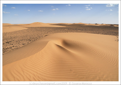 africa nature landscape geotagged mar sand desert dune morocco potofgold natureandnothingelse soussmassadrâa geo:lat=2983797000 geo:lon=610414600 deuxchasse