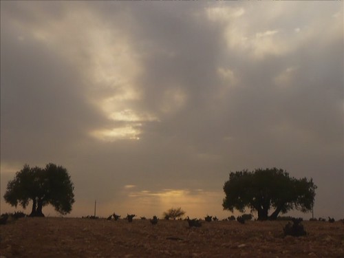 sunset clouds landscape atardecer timelapse toledo nubes olives favoritas puestadesol olivas olivos landsacape anochecer lamancha castillalamancha vids viña puebladealmoradiel