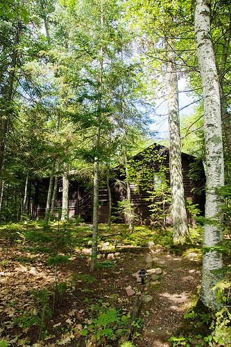 vacation cabin woods minocqua laketomahawk sonyalpha700