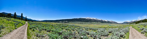 park creek wide trail national yellowstone slough
