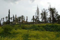 Hala Sulan Tekke, Larnaka
